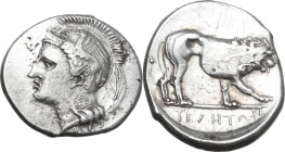 Greek Italy. Northern Lucania, Velia. AR Stater, 340-334 BC. Obv. Head of Athena left, wearing helmet decorated with griffin, neck guard also decorate...