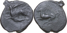 Sicily. Kainon. AE 25 mm, c. 360-340 BC. Obv. Griffin springing left; below, grasshopper left. Rev. Horse prancing left; above, star. HGC 2 509; CNS I...