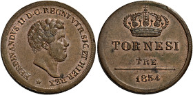 Napoli. Ferdinando II di Borbone, 1830-1859 

Da 3 tornesi 1854, Cu 9,74 g. Pagani 392. Pannuti-Riccio 241. MIR 526/7.
Spl

Ex asta Negrini 31, 2...