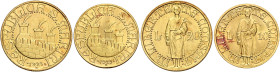 San Marino. Repubblica. Prima monetazione, 1864-1938 

Da 20 e 10 lire 1925, AV. Roma. Pagani 341, 349.
Rare. q.Fdc
