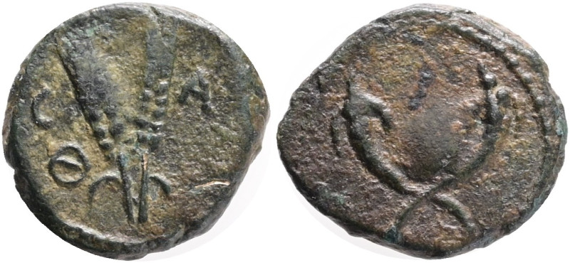 COMMAGENE. Samosata. Time of Hadrian, 117-138. Ae, Obv.: Two crossed cornucopias...