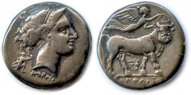 CAMPANIA - NEAPOLIS 300-320 B.C
Nomos