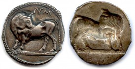 LUCANIA - SYBARIS 550-510 B.C
Nomos