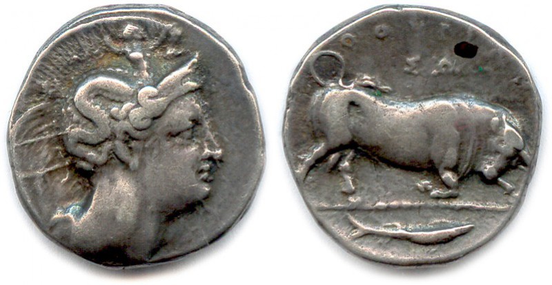 LUCANIE - THURIUM 400-350
Tête d’Athéna à droite, coiffée d’un casque orné du mo...