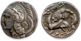 LUCANIA - VELIA 350-280 B.C
Nomos