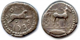 BRUTTIUM - RHEGIUM 480-466 B.C
Tetradrachm