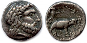 KINGDOM OF SYRIA - SELEUCOS Ist Nicator 312-281 B.C
Tetradrachm