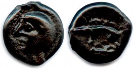 GAUL - HAUTE LOIRE 60-50 B.C
Potin