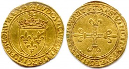 LOUIS XII le Père du Peuple fils de Charles, duc d’Orléans
Écu d’or au Soleil.