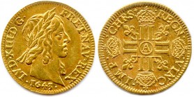 LOUIS XIII le Juste 1610-1643
Louis d’or à la tête vieillie 1643 A = Paris. (6,73 g)