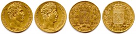 CHARLES X frère de Louis XVI 
16 septembre 1824 - 2 août 1830
Lot de 2 monnaies d’or : 
20 Francs 1827 Paris et 20 Francs 1828 Paris. (12,83 g)