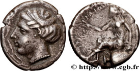 BRUTTIUM - TERINA
Type : Nomos, statère ou didrachme 
Date : c. 440-425 AC. 
Mint name / Town : Térina, Bruttium 
Metal : silver 
Diameter : 20,5  mm
...