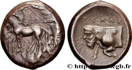 SICILY - GELA
Type : Tétradrachme 
Date : c. 415 AC 
Mint name / Town : Géla, Sicile 
Metal : silver 
Diameter : 25,5  mm
Orientation dies : 12  h.
We...