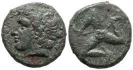 Sicily, Syracuse. Agathokles (317-289 BC). Æ Hemidrachm (19.5mm, 7.33g), c. 317-310. Diademed head of Apollo l.; palladion behind. R/ Triskeles with w...