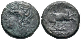 Sicily, Syracuse. Hieron II (275-215 BC). Æ (16mm, 4.36g). Laureate head of Apollo l. R/ Horse prancing r. CNS II, 203; SNG ANS 1021; HGC 2, 1552. Nea...