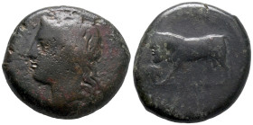 Sicily, Tauromenion, c. 357-315 BC. Æ Hemilitron (26.5mm, 15.89g). Laureate head of Apollo Archagetas l. R/ Man-headed bull standing l.; bunch of grap...
