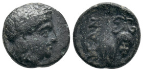 Troas, Neandria, 4th century BC. Æ (11mm, 1.38g). Laureate head of Apollo r. R/ Grain ear; grape bunch to r. SNG Ashmolean 1174; SNG von Aulock 1556. ...