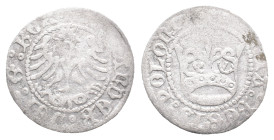 Poland, Sigismund I (1506-1548). 1/2 Groschen (18mm, 0.85g). Good Fine - near VF