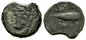 Ketovion-Salacia. Half unit. 150-50 BC. Alcácer do Sal (Portugal). (Abh-1637). (MIB-166/06, Plate Coin). (Acip-976). Anv.: Head of Melkart left, club ...