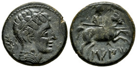 Saiti-Saetabi. Unit. 120-20 BC. Xátiva (Valencia). (Abh-2100). (MIB-30/05). (Acip-2031). Anv.: Diademed male head right, ear of corn behind. Rev.: Hor...