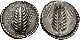 LUCANIA. 
METAPONTUM. Nomos, about 550-520. AR 8.27 g. MET Eight-grained ear of corn in an inner border of delicate pearls; around, border of large d...