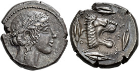 SICILIA. 
LEONTINOI. Tetradrachm, about 450-440. AR 17.23 g. Laureate head r. of Apollo, the long hair in the back rolled up into the wreath (krobylo...