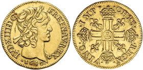 FRANCE. ROYAUME. 
Louis XIII, 1610-1643. Louis d'or 1640, Paris. 6,76g. Duplessy 1301; Fr. 410.
Very fine-extremely fine

Provenance:
Eberhard W....