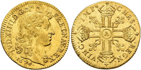 FRANCE. ROYAUME. 
Louis XIV, 1643-1715. Double louis d'or à la tête nue 1674, Paris. AV 6.74 g. Youthful plain head. Rev. Four cruciform crowned doub...