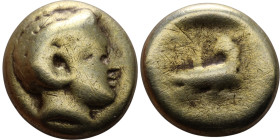 Lesbos, Mytilene  (IV century BC)  EL Hekte  Obverse: Head of Apollo Karneios right, in horn of Ammon, three hooks along the hair parting Reverse:  Ea...