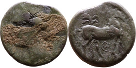 Carthage (IV-III century BC) Bronze coin. Obv: . Head of Tanit left, wearing grain ears and pendant earrings Reverse: Horse standing right, before pal...