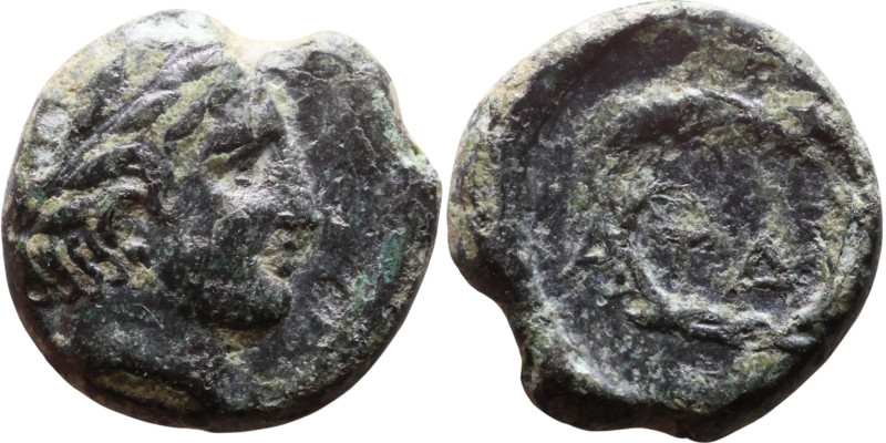 Greek bronze coin. (IV-I century BC)

9mm 0,68g