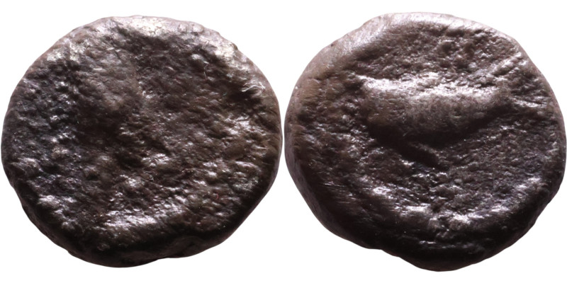 Greek bronze coin. (IV-I century BC)

7mm 0,70g