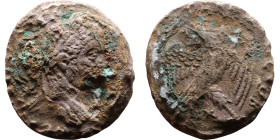 Elagabalus (218-222) Tetradrachm. Obverse: Bust of emperor. Reverse: Eagle standing left, head right, wreath in beak, tail right, wings spread