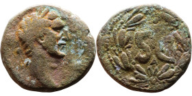 Nerva (96-98) Syria: Antioch. Bronze coin. Obv: Bust of emperor. Rev: Large S C