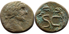 Antoninus Pius (138-161) Syria: Antioch  Bronze coin. Obv: bust of emperor. Rev: Large S C