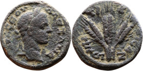 Severus Alexander (222-235) Caesarea, Cappadocia  Bronze coin. Obverse: Laureate head right. Reverse: Bundle of three corn ears.