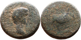 Roman Provincial bronze coin (I-III century)