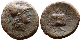 Greek Bronze coin. (IV-I century BC)