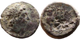 Antiochos VI Dionysos (Seleukid King: 145-141 BC). AE bronze. Obv: Radiate and diademed head Rev: Amphora; palm to r.; monogram below.