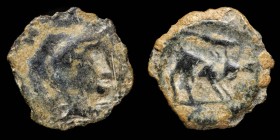 Uncertain Quadrant, (Jabalí Clava)  14 mm / 1.47 gr.
