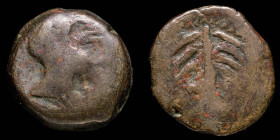 Baria, Villaricos (Almeria) Ae As  26 mm / 19.42 gr.