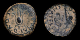 Cartagonova, Cartagena (Murcia), Augustus Ae Semis  19 mm / 6,67 gr.