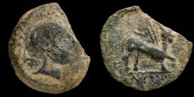 Iliberri (Granada) Ae As  31 mm / 16.60 gr.