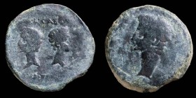 Julia Traducta, Algeciras (Cadiz)   Augustus Ae Dupondius  32 mm / 21.55 gr.