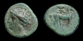 Zeugitania, Cartago (300264 a.C.) 1/2 Calco  16 mm / 2.82 gr.