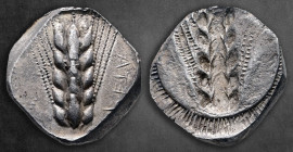 Lucania. Metapontion circa 520-510 BC. Stater AR