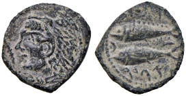 § IBERIA Gades (circa II-I sec. a.C.) Semisse - Testa di Eracle a sx - R/ Due tonni - SNG BM Spain 1801-92 AE (g 5,54)

Status: BB

Notes: Please,...