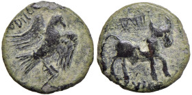 § IBERIA Obulco (circa I sec. a.C.) Semisse - Aquila a dx - R/ Toro a dx - AE (g 6,67)

Status: MB+

Notes: Please, note that Nomisma Aste will no...