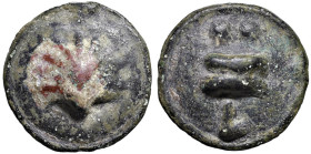 § APULIA Luceria - Biuncia (circa 217-212 a.C.) Conchiglia - R/ Astragalo - HN Italy 677d AE (g 19,01)

Status: MB

Notes: Please, note that Nomis...