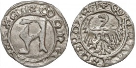 Ks. Kozielskie, Konrad VII Biały (1416-1450) Halerz Koźle - ODWRÓCONY Orzeł Kop.-